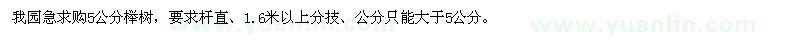 求購5公分櫸樹(shù)