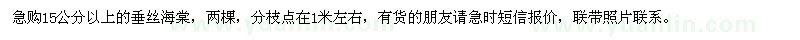求購15公分以上垂絲海棠