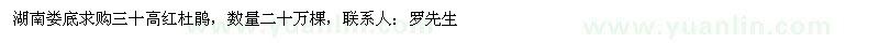 求購高30公分紅杜鵑