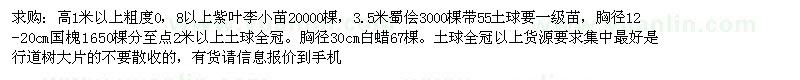 求購紫葉李、國槐、白蠟等