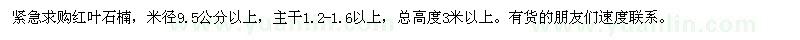 求購米徑9.5公分以上紅葉石楠