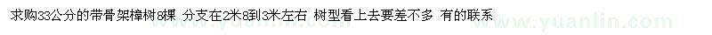 求購33公分樟樹