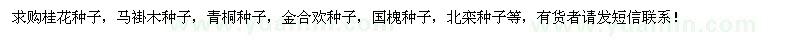 求購(gòu)桂花種子、馬褂木種子、青桐種子等