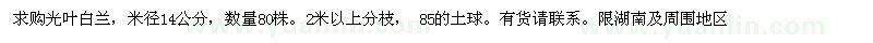 求購米徑14公分光葉白蘭