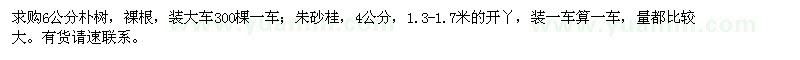 求購樸樹、朱砂桂
