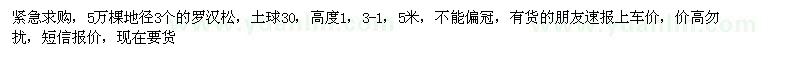 求購(gòu)高1米羅漢松 