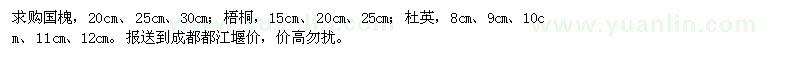 求購(gòu)國(guó)槐、梧桐、杜英