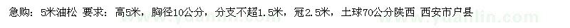 求購(gòu)5米油松