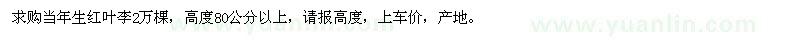 求購當(dāng)年生紅葉李