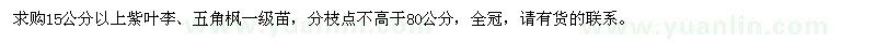 求購15公分以上紫葉李、五角楓