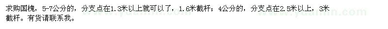 求購4-6公分國槐