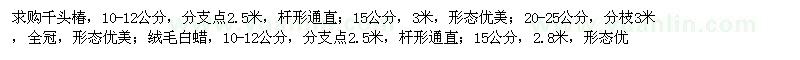 求購千頭椿、絨毛白蠟、國槐等