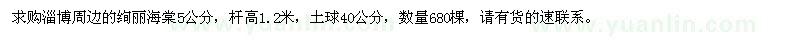 求購5公分絢麗海棠