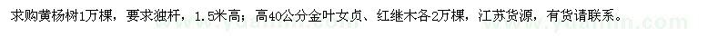 求購黃楊樹、金葉女貞、紅繼木