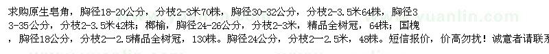 求購(gòu)皂角、榔榆、國(guó)槐