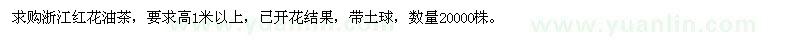 求購高1米以上紅花油茶