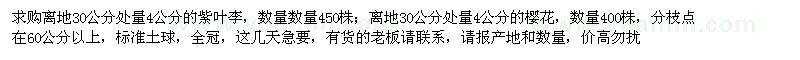 求購離地30公分處量4公分紫葉李、櫻花