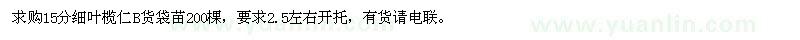求購15公分細葉欖仁