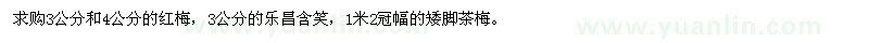 求購紅梅、樂昌含笑、矮腳茶梅