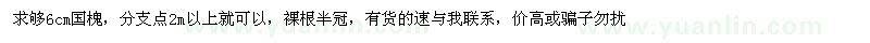 求購6公分國槐