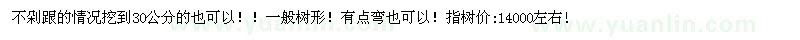 求購(gòu)米經(jīng)30公分銀杏實(shí)生樹(shù)