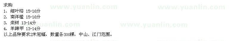 求購(gòu)細(xì)葉榕、欒樹(shù)、南洋楹等