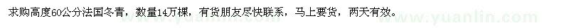 求購高度60公分法國冬青