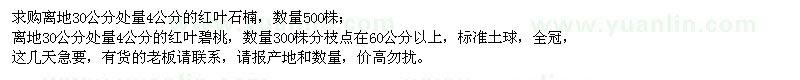 求購離地30公分處量4公分紅葉石楠、紅葉碧桃