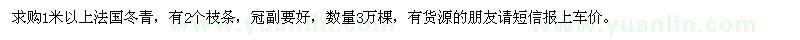 求購(gòu)1米以上法國(guó)冬青