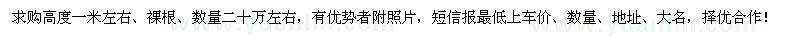 求購高1米紅果冬青小苗
