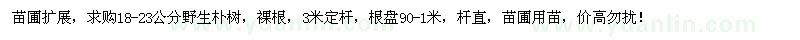 求購18-23公分樸樹