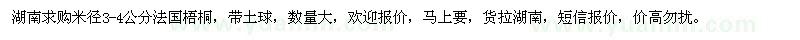 求購(gòu)米徑3-4公分法國(guó)梧桐