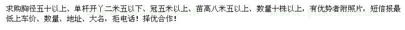 求購胸徑50公分以上廣玉蘭