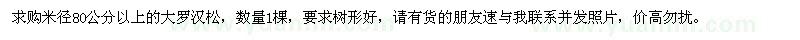 求購米徑80公分以上大羅漢松