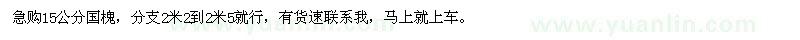 求購15公分國槐