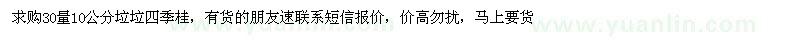 求購30量10公分垃圾四季桂