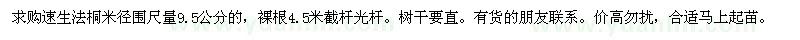 求購9.5公分法桐