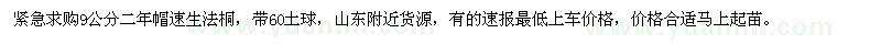 求購(gòu)9公分速生法桐