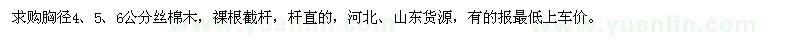 求購(gòu)胸徑4、5、6公分絲棉木