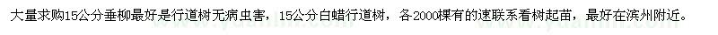 求購15公分垂柳、白蠟