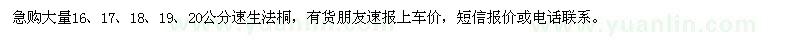 求購(gòu)16-20公分速生法桐