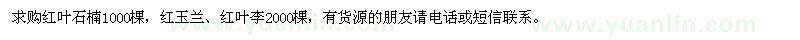 求購紅葉石楠、紅玉蘭、紅葉李