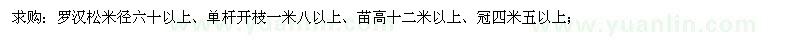 求購米徑60公分以上羅漢松