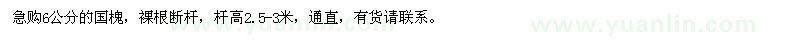 求購6公分國槐