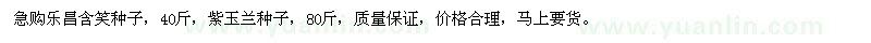 求購樂昌含笑種子、紫玉蘭種子