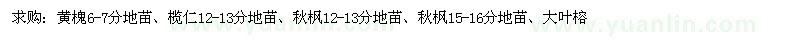 求購(gòu)黃槐、欖仁、秋楓等