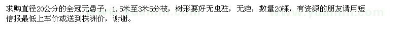 求購直徑20公分無患子