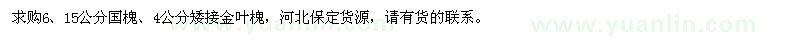 求購6、15公分國槐、4公分矮接金葉槐
