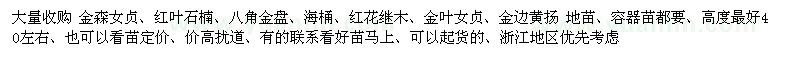 求購金森女貞、紅葉石楠、八角金盤等