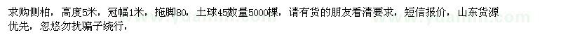 求購(gòu)高5米側(cè)柏